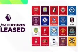 英超超远射进球